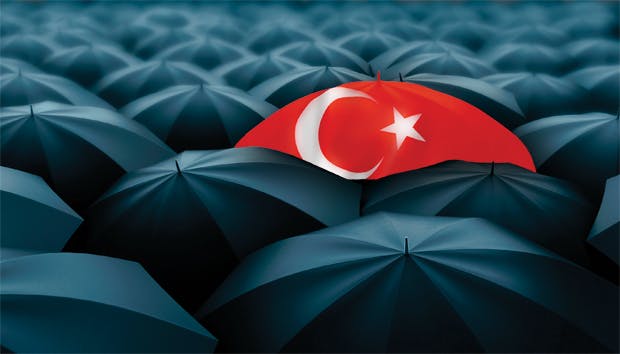 Diversification umbrella