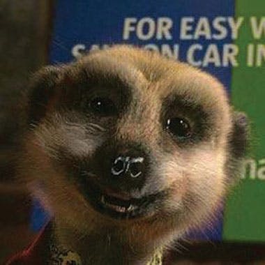Meerkatindex