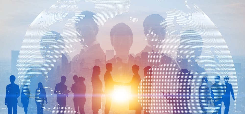 diversity group network