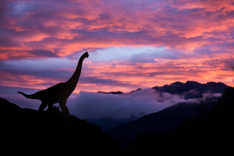 Dinosaur
