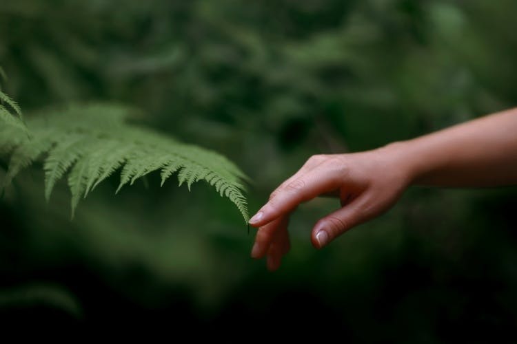 Green fingers, ESG